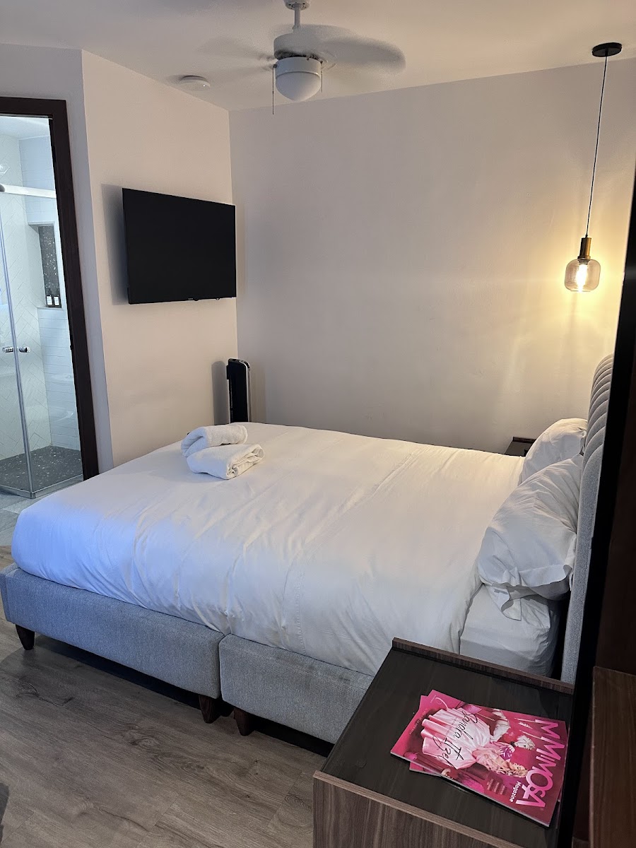 Casa Castillo Condesa